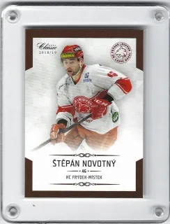 Novotný Štěpán OFS Chance Liga 2018-19  č.207